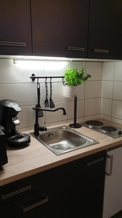 Apartmenthaus Joern Wieda エクステリア 写真